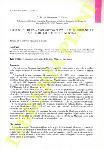 Fradà orestano calvo - fradÀ,